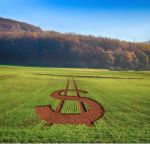 Inflação dos alimentos vem com novo imposto do governo