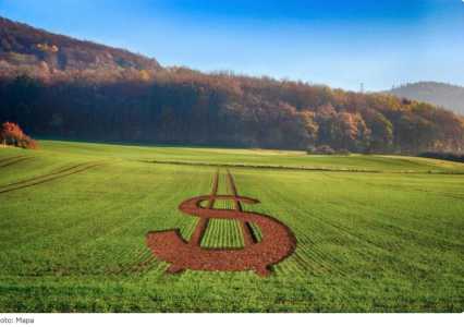 campo_