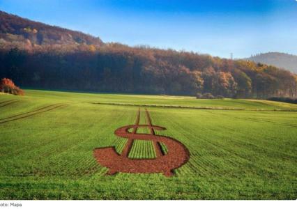 campo_
