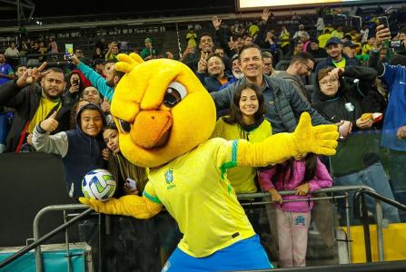Torcida do Brasil