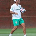 Palmeiras: veja histórico de Abel Ferreira contra o Porto, adversário no Mundial