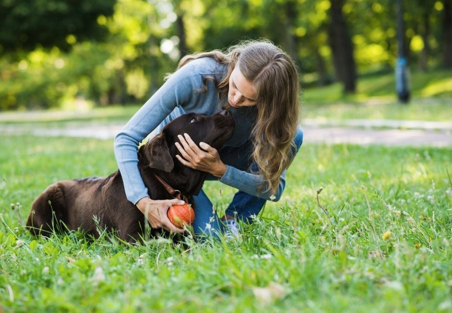 O que significa quando uma pessoa acaricia sempre os cachorros, segundo a psicologia
