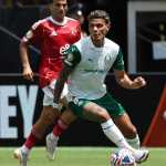 Palmeiras tem seis pendurados para jogo contra Inter Miami; veja lista