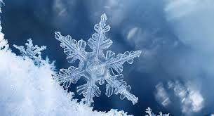 Neve