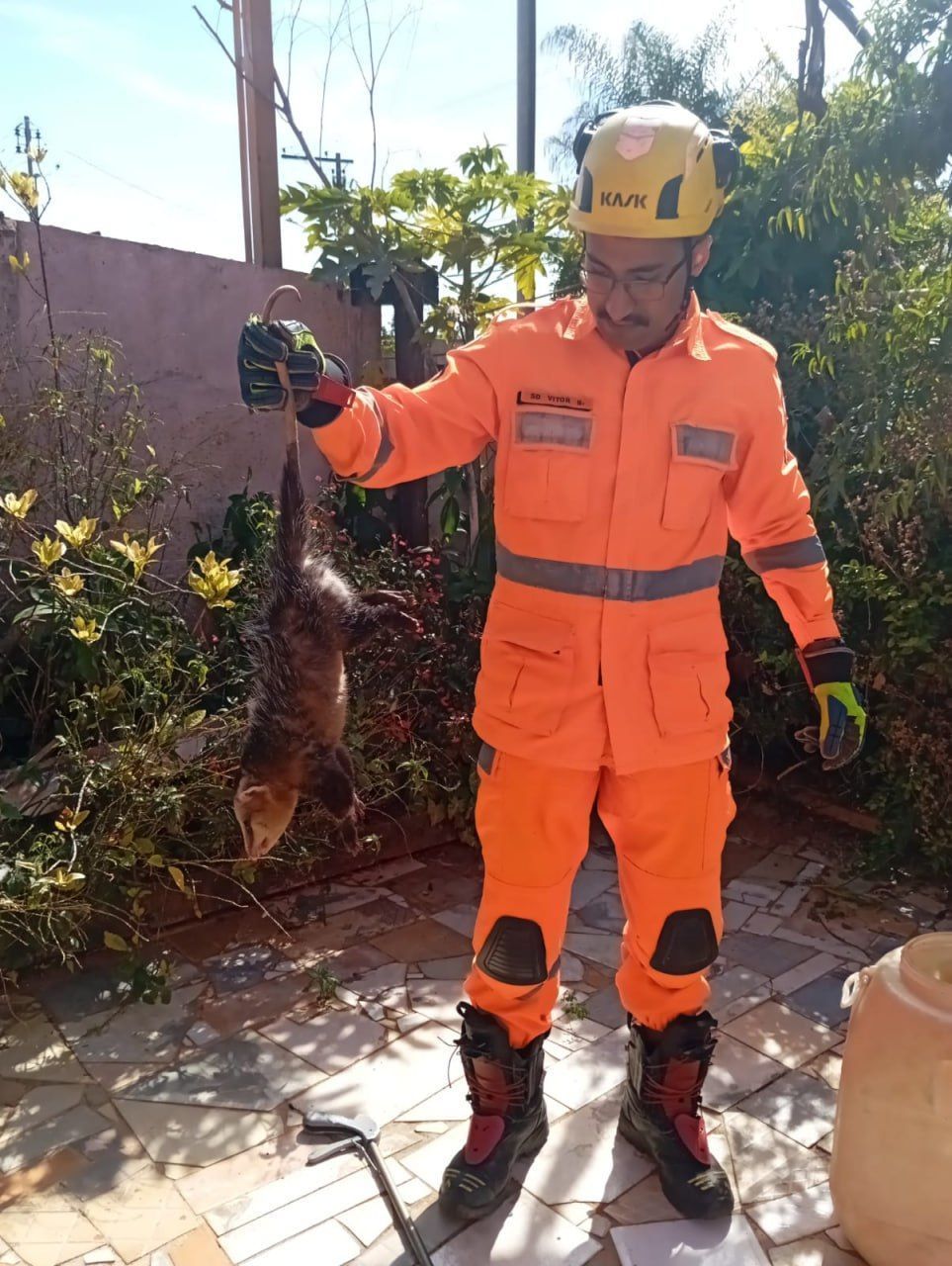 Gambá é capturado em quintal de casa em Araxá