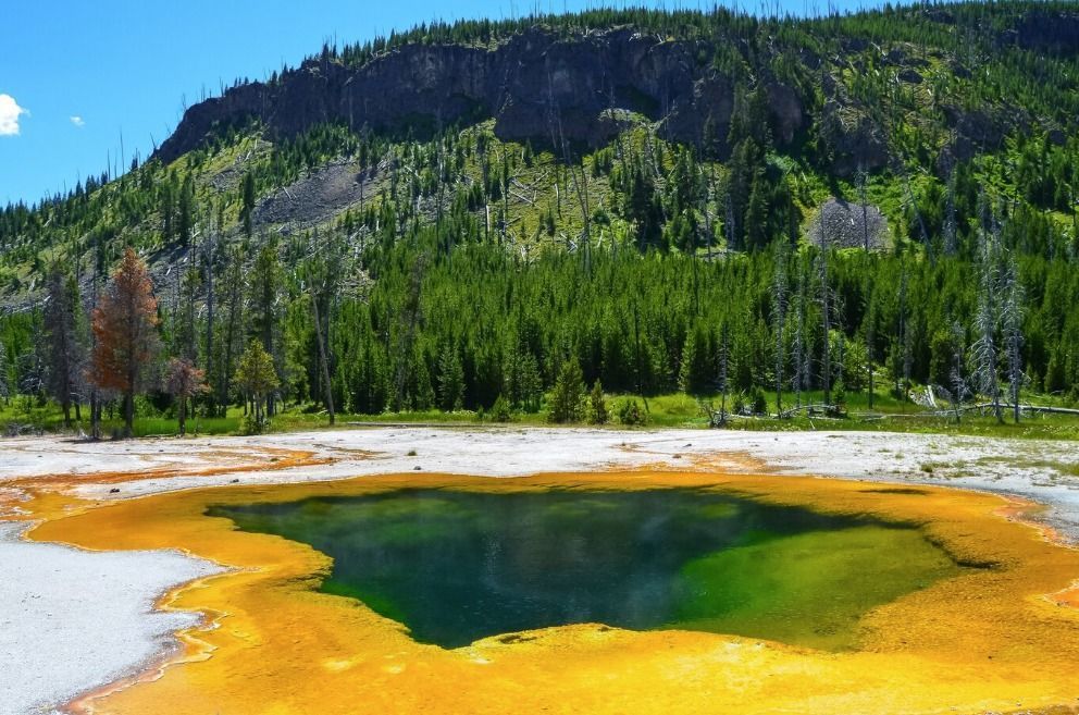 Até os animais se enganam em Yellowstone: bisão morre derretido ao cair em lago fervendo