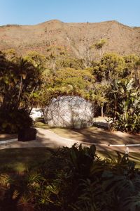 Evento receberá também o festival “Convergência”, no Parque do Palácio em agosto