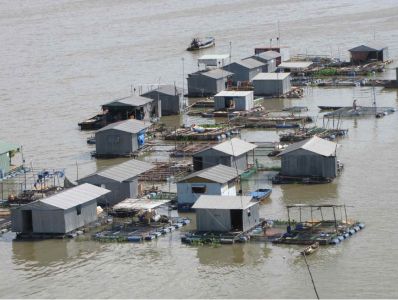 Criatório de tilápia no Vietnã