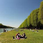 França registra 480 mortes acima da média durante onda de calor no início do verão