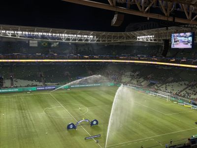 Palmeiras enfrentará o Grêmio no Allianz Parque