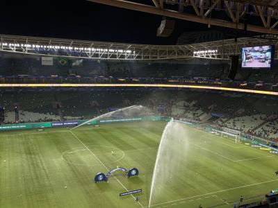 Palmeiras enfrentará o Grêmio no Allianz Parque