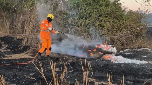 Militar apagando incêndio em mata