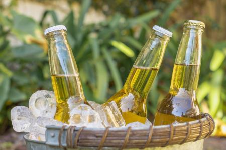 Balde com bebidas alcoólicas