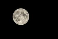 Lua dos Cervos ilumina o céu nesta noite; entenda origem do nome