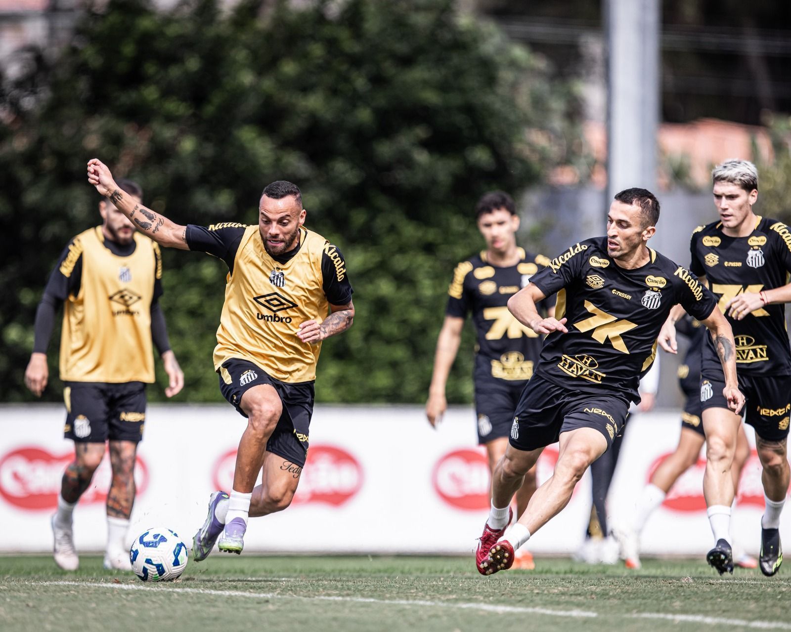 Santos: atacante volta a treinar e pode ser novidade contra Cruzeiro