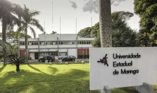 Universidade Estadual de Maringá (UEM)