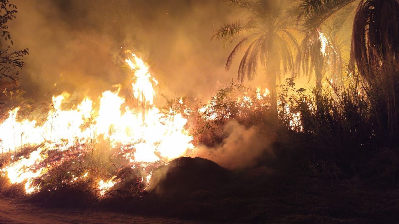 Incêndio atinge Parque Estadual Serra Verde em BH