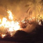 Incêndio atinge Parque Estadual Serra Verde em BH