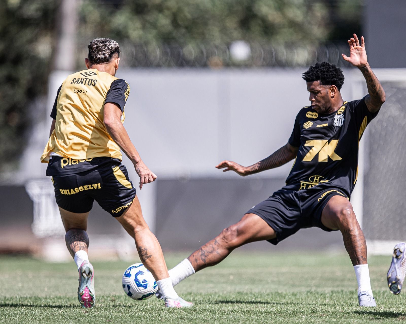 Santos inicia 2º turno do Brasileirão com 19% de chance de rebaixamento, aponta UFMG
