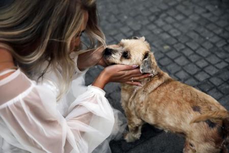Mulher faz carinho em cachorro