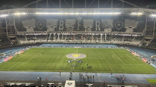 Botafogo e Palmeiras se encaram no Nilton Santos