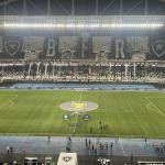 Botafogo x Palmeiras: escalações do jogo válido pelo Brasileirão