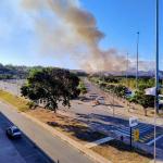 Incêndio próximo à Cidade Administrativa mobiliza seis equipes dos bombeiros em BH