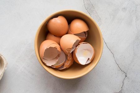 Adeus às cascas de ovo no lixo: como transformá-las em adubo e proteção natural