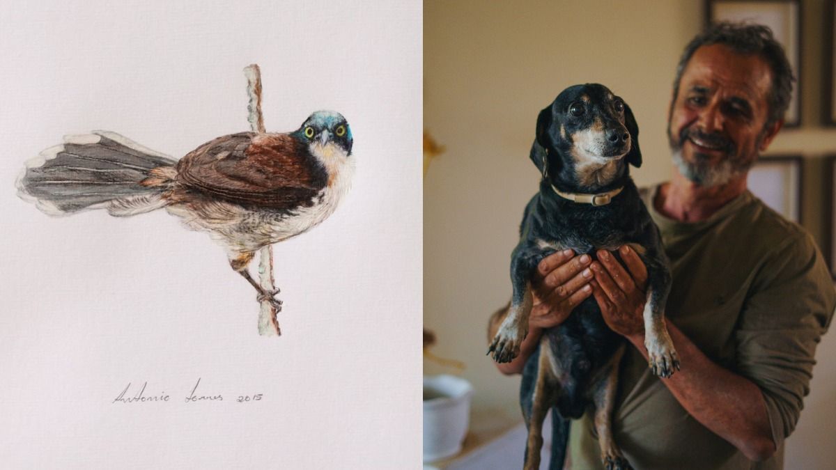 Artista mineiro, Antônio Torres expõe desenhos de 170 aves catalogadas pelo Instituto Terra