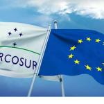 Fiemg vê acordo de UE e Mercosul como avanço, mas prega análise cuidadosa de impactos