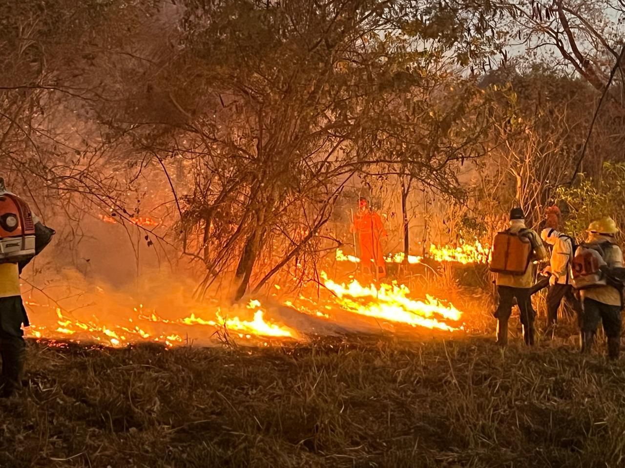 Incêndio atinge 27 hectares em Parque de Montes Claros