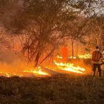 Incêndio atinge 27 hectares em Parque de Montes Claros