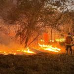 Incêndio atinge 27 hectares em Parque de Montes Claros