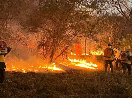 Incêndio no Parque Estadual da Lapa Grande em Montes Claros