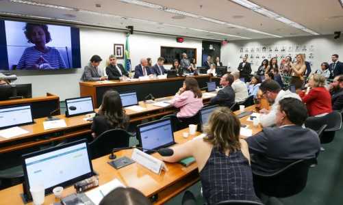 Audiência na CCJ da deputada federal Carla Zambelli