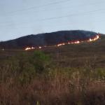 Incêndio florestal mobiliza brigadistas em Estação Ecológica do Tripuí, em Ouro Preto