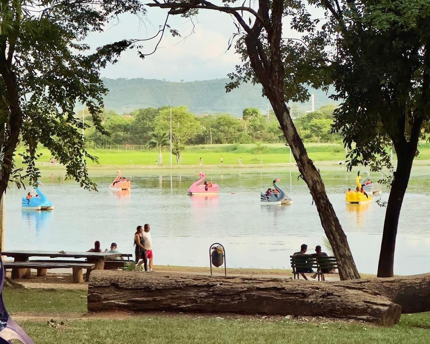 Festival ARES 2025 chega a Montes Claros com música, arte, gastronomia e cuidado animal