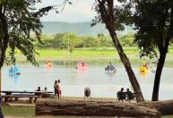 Festival ARES 2025 chega a Montes Claros com música, arte, gastronomia e cuidado animal