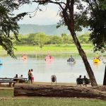 Festival ARES 2025 chega a Montes Claros com música, arte, gastronomia e cuidado animal
