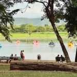 Festival ARES 2025 chega a Montes Claros com música, arte, gastronomia e cuidado animal