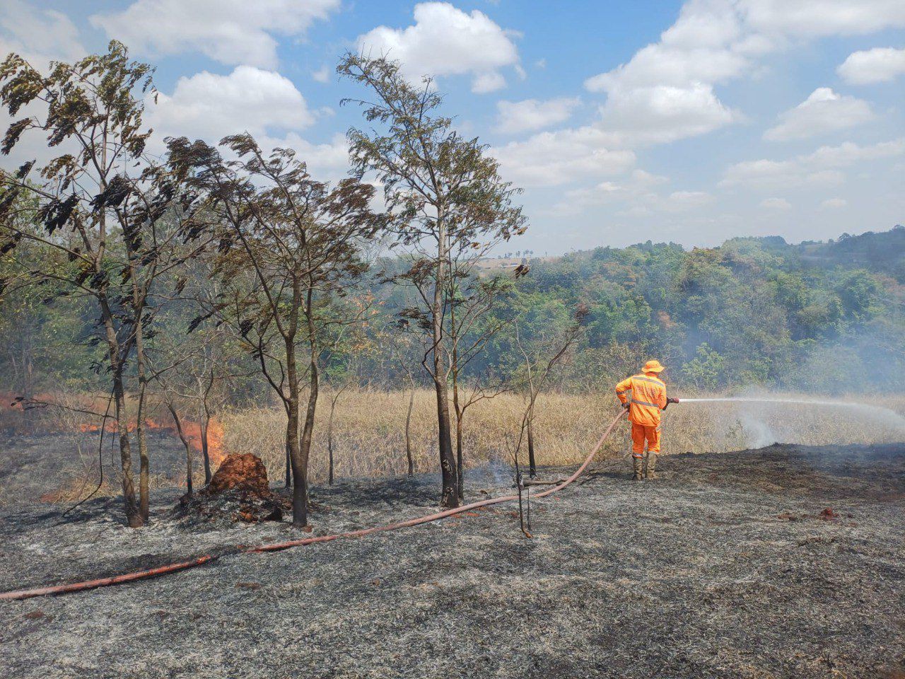 Incêndio às margens da MG-050 atinge vegetação do Cerrado em Minas