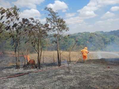 Incêndio às margens da MG-050 atinge vegetação do Cerrado em Minas