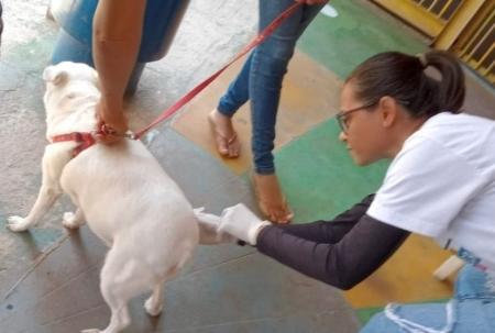Vacinação em Timóteo