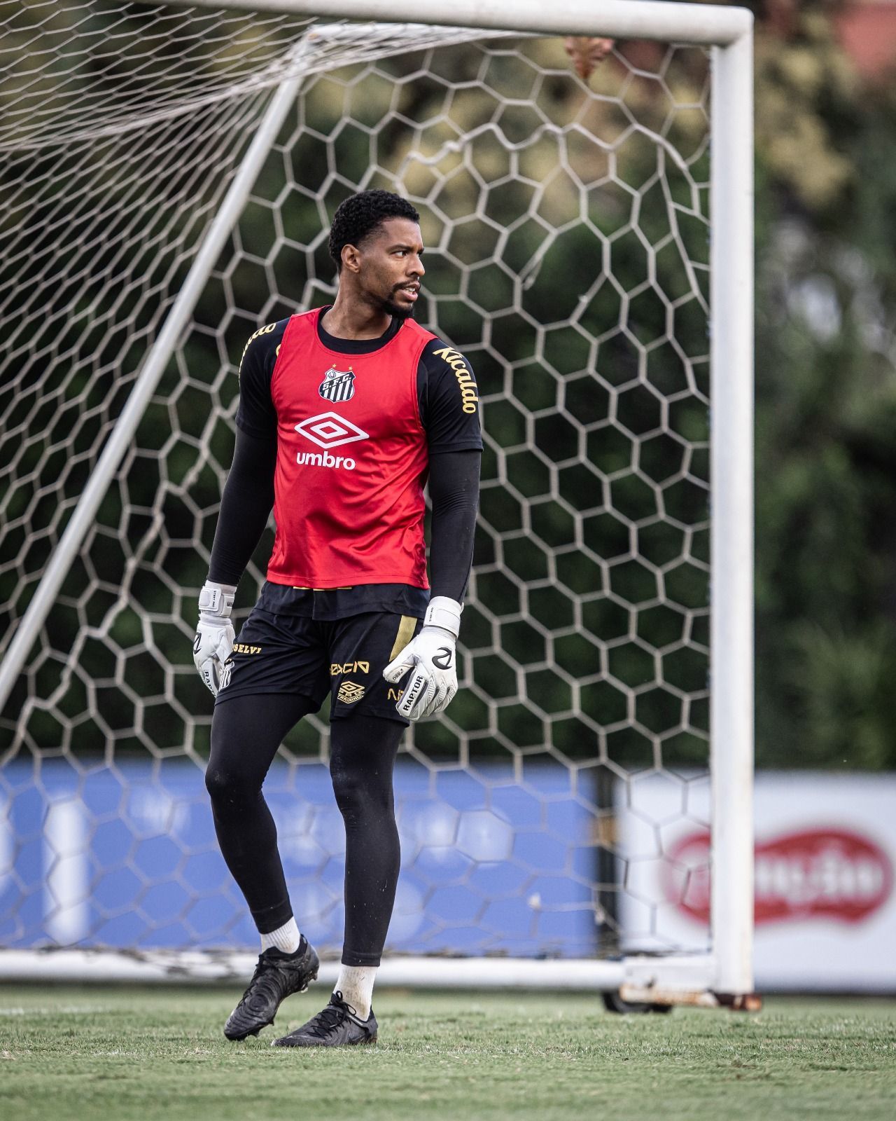Conheça Diogenes, possível goleiro do Santos para clássico contra São Paulo