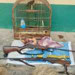 Homem é preso por porte ilegal de armas e crimes ambientais em Montes Claros