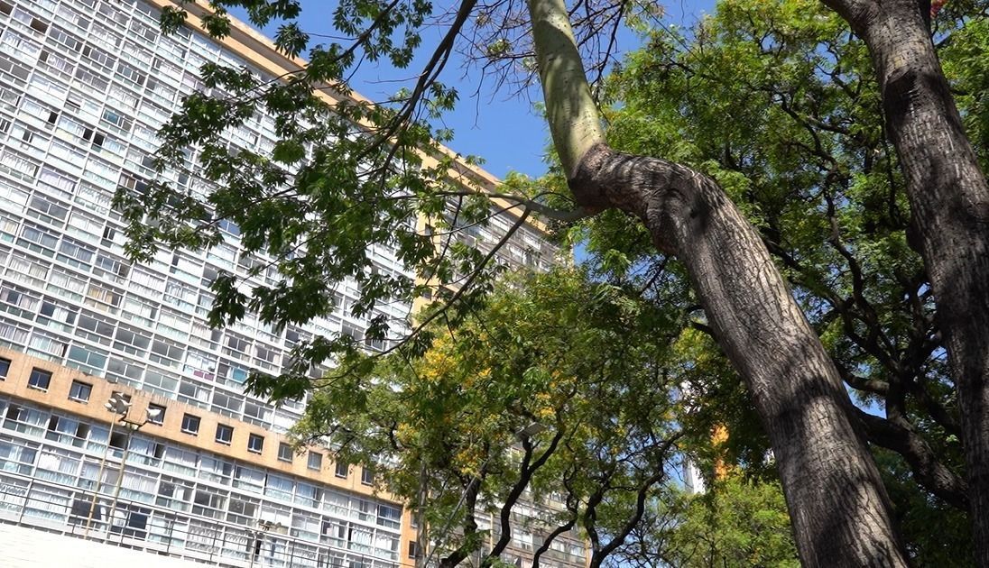 Especialista analisa eleição de síndico no Edifício JK: 'Juridicamente delicada'