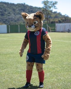 Gata do Mato, nova mascote do Itabirito