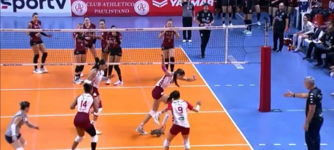 Gambá invade quadra durante partida entre Barueri e Osasco