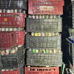 Operação mira falsificação, adulteração e comercialização irregular de bebidas em SP