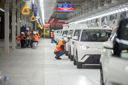 • Iracema Chequer/divulgação